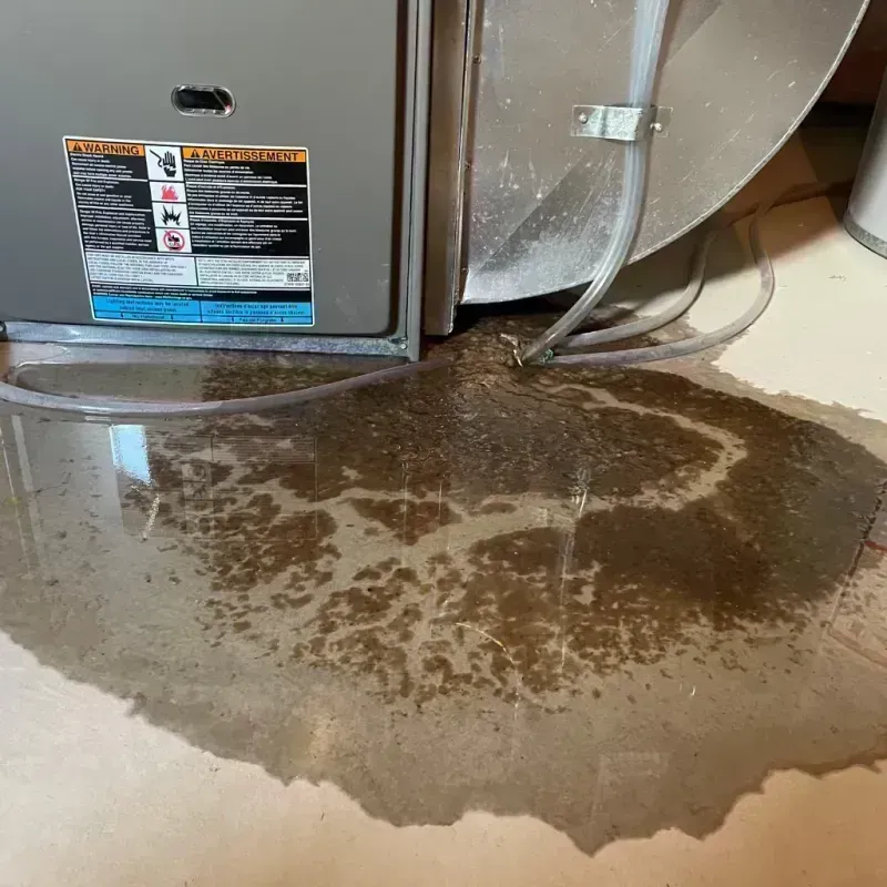 Appliance Leak Cleanup in Carbondale, CO